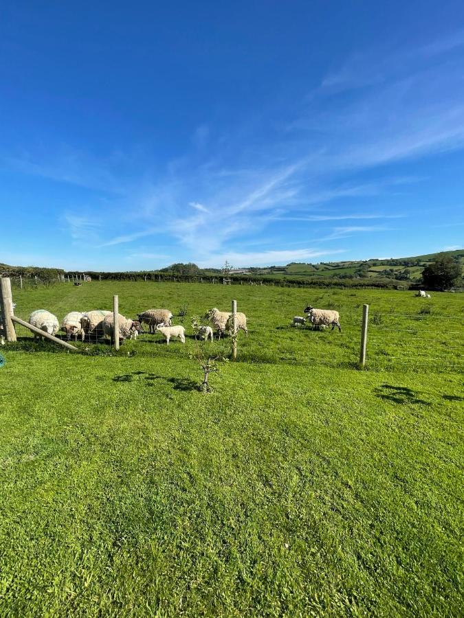 Westerley Country B & B With Exclusive Guest Lounge Buckfastleigh Exterior foto