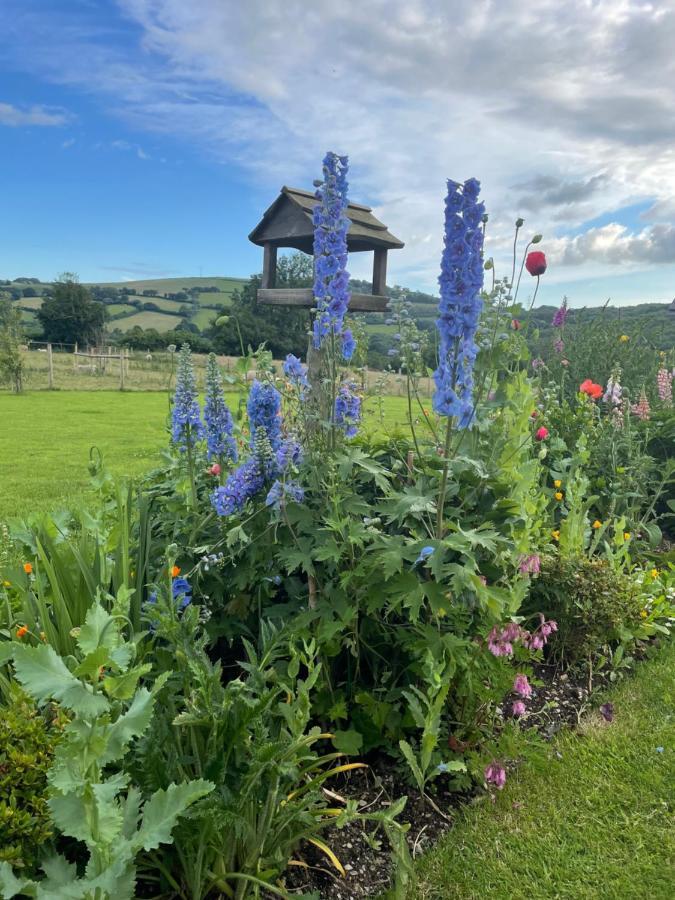 Westerley Country B & B With Exclusive Guest Lounge Buckfastleigh Exterior foto