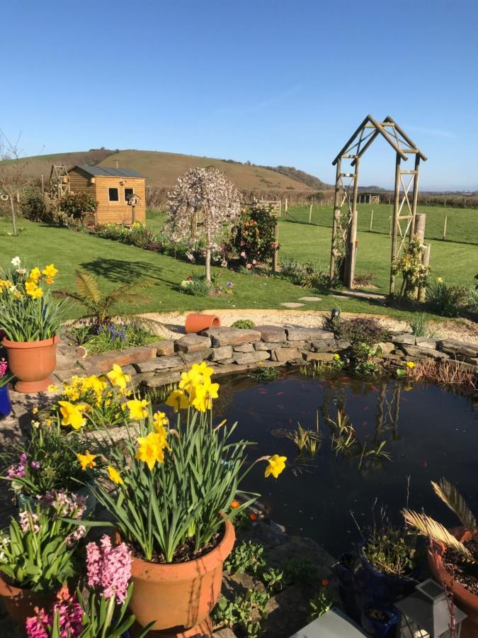 Westerley Country B & B With Exclusive Guest Lounge Buckfastleigh Exterior foto
