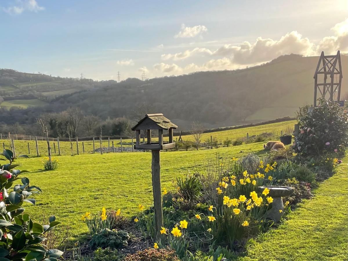 Westerley Country B & B With Exclusive Guest Lounge Buckfastleigh Exterior foto