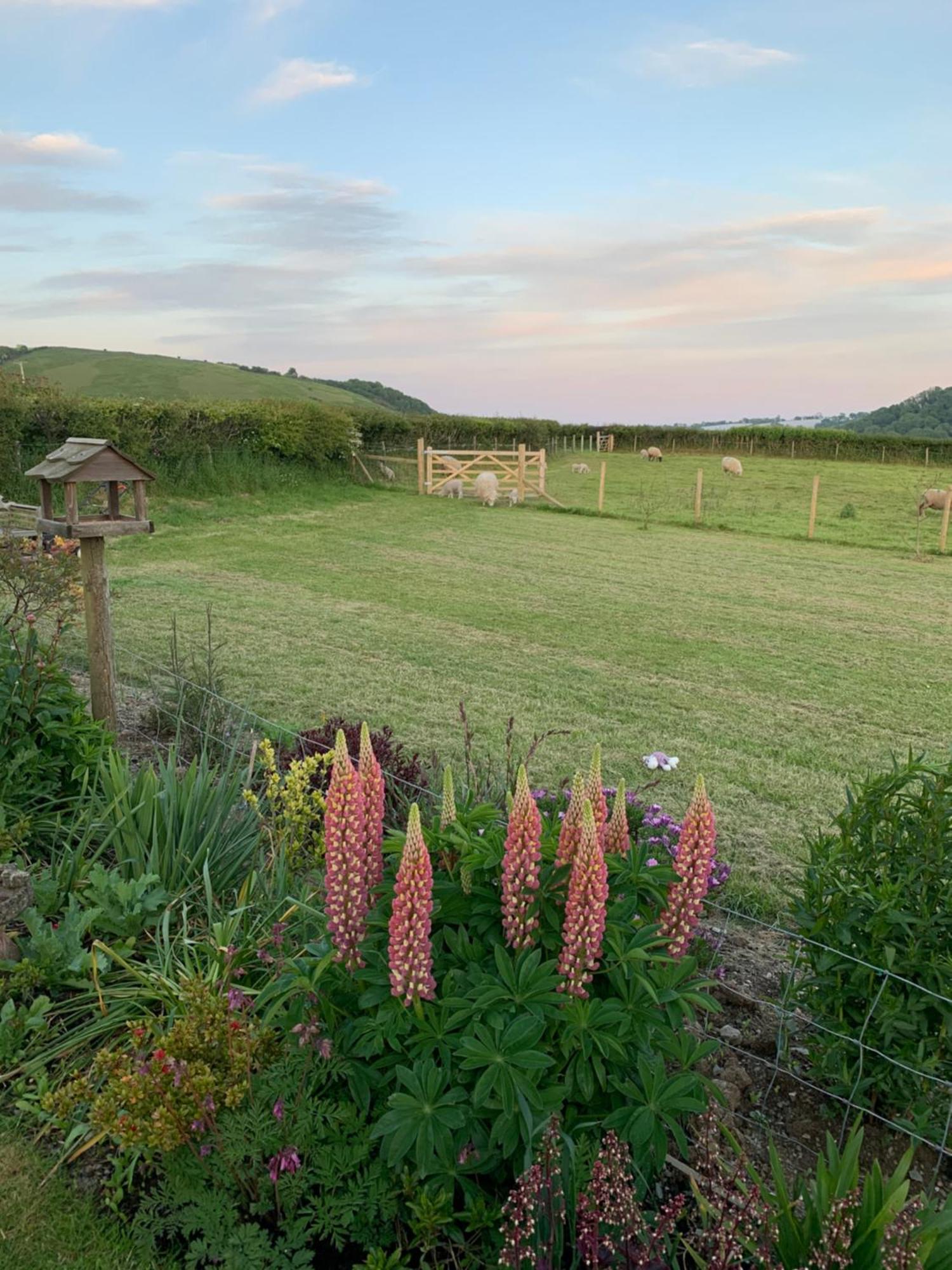Westerley Country B & B With Exclusive Guest Lounge Buckfastleigh Exterior foto