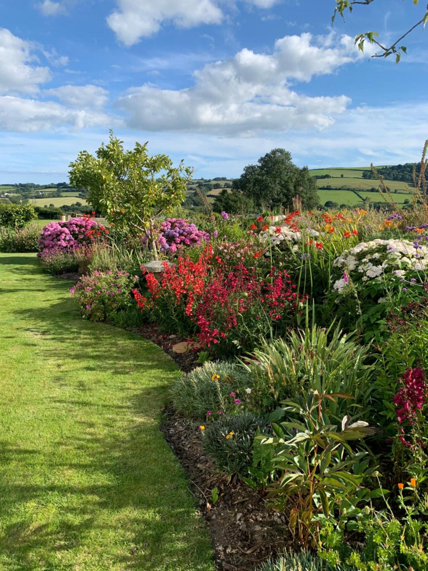 Westerley Country B & B With Exclusive Guest Lounge Buckfastleigh Exterior foto